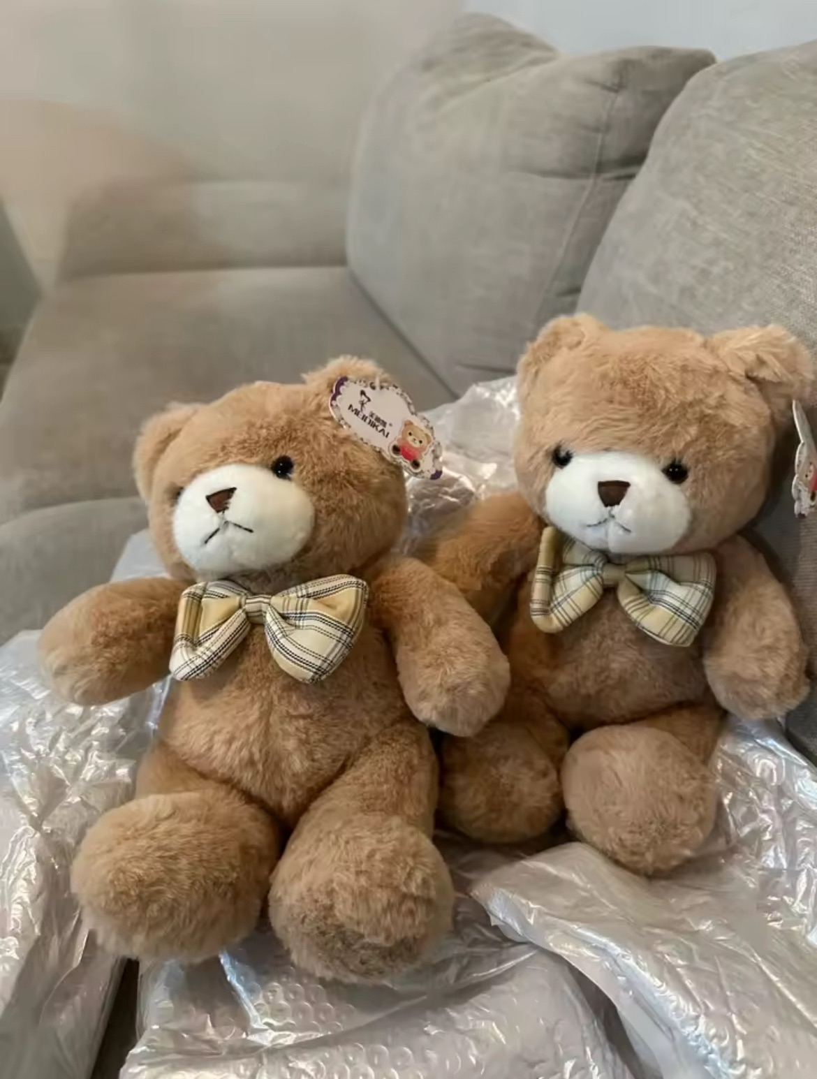 Teddy Bear Plush Toy
