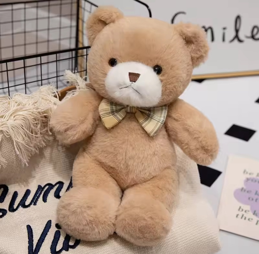 Teddy Bear Plush Toy