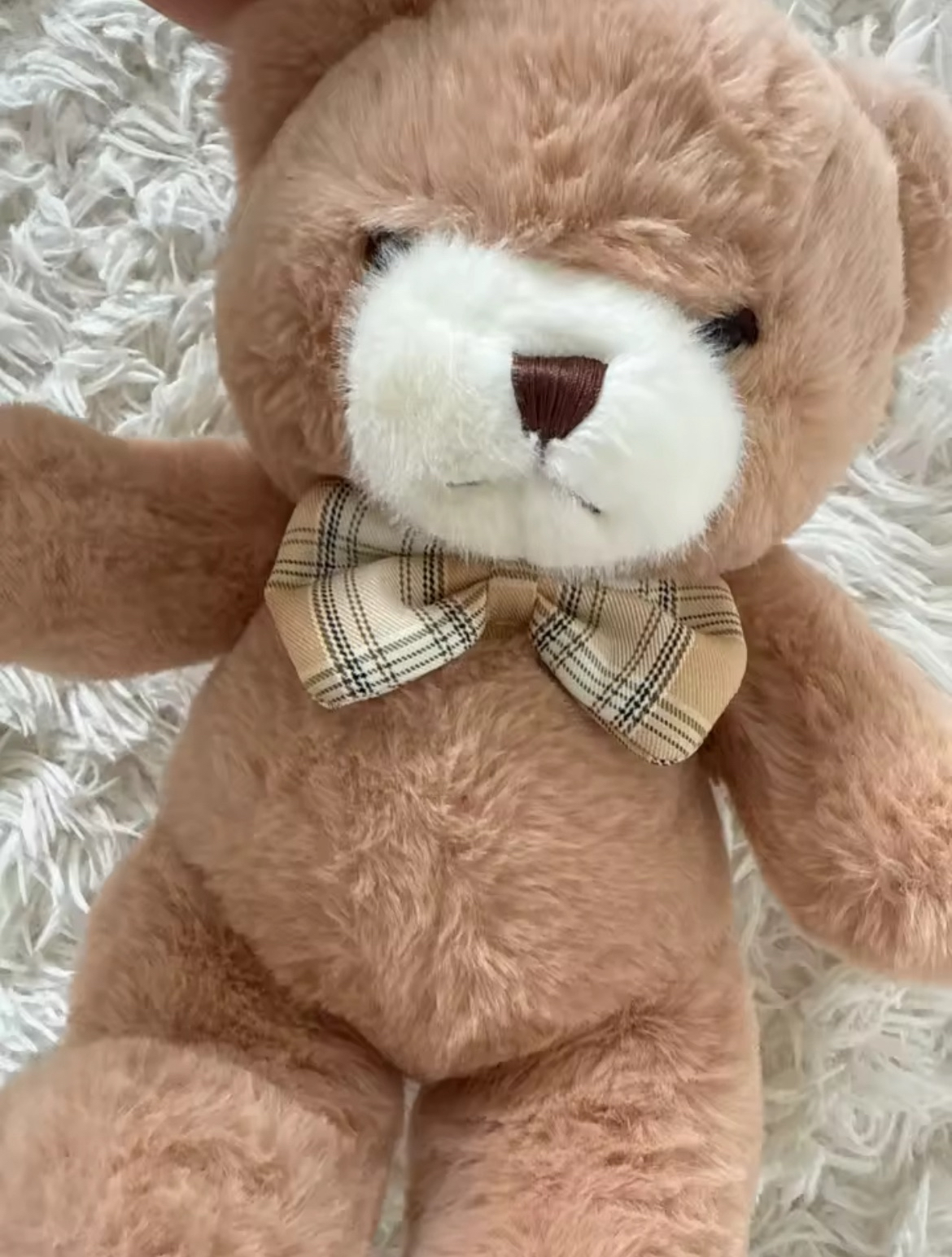 Teddy Bear Plush Toy